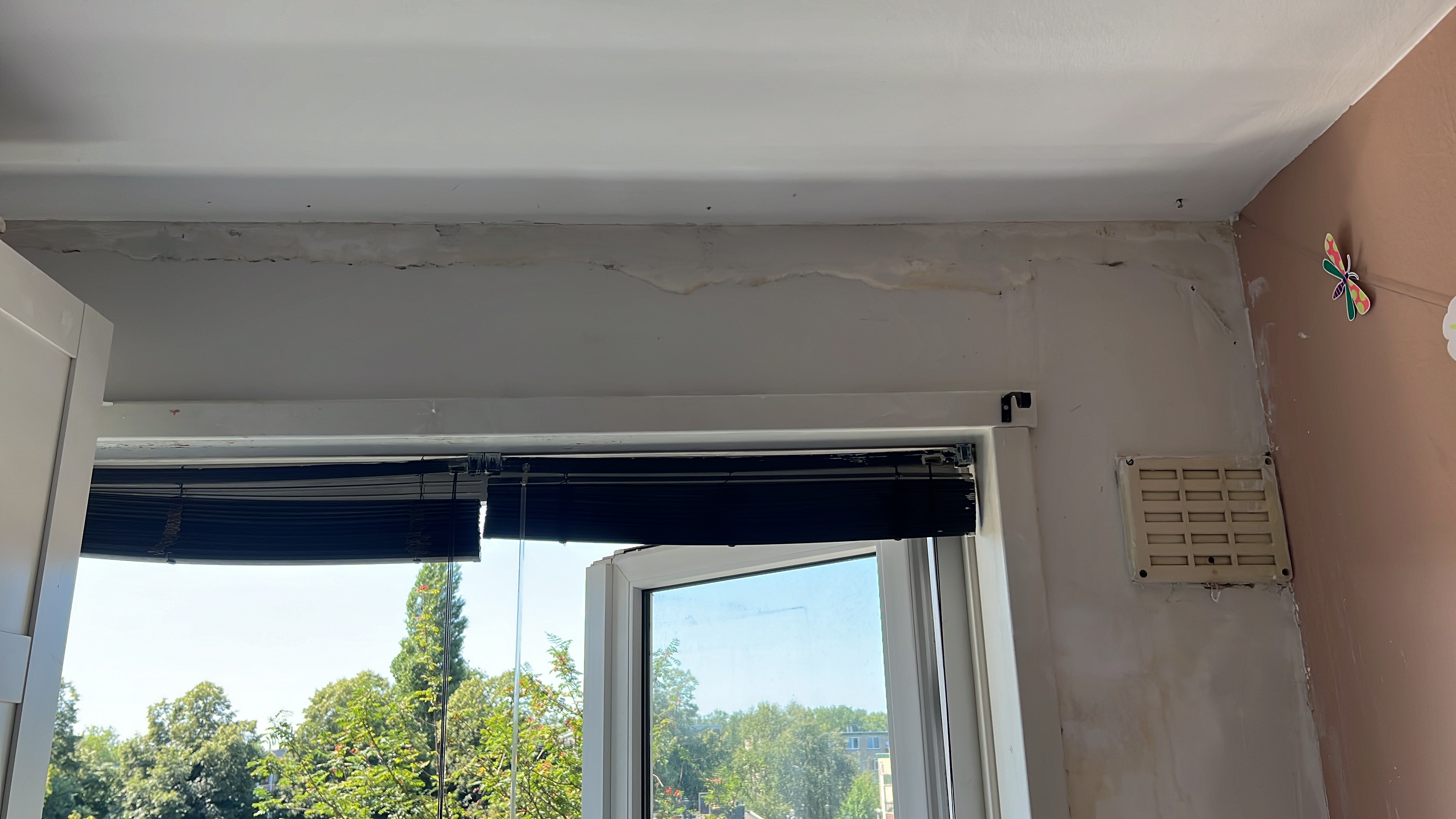 C6889A5F_A356_4B04_A77E_03ABEDA1C8F3.jpeg C6889A5F_A356_4B04_A77E_03ABEDA1C8F3.jpeg