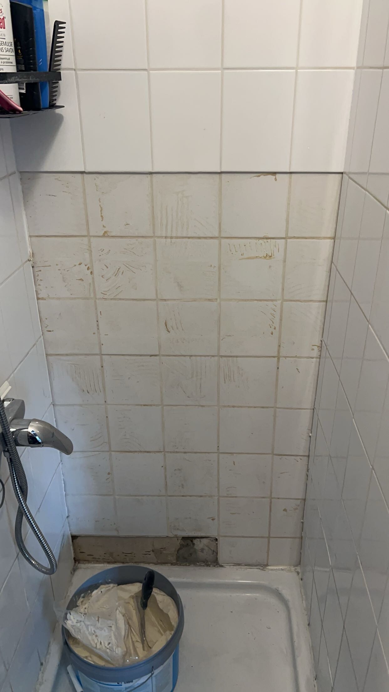 IMG_5687.jpeg IMG_5687.jpeg