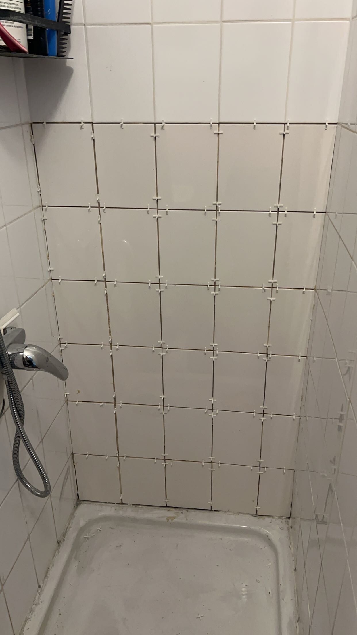 IMG_5688.jpeg IMG_5688.jpeg