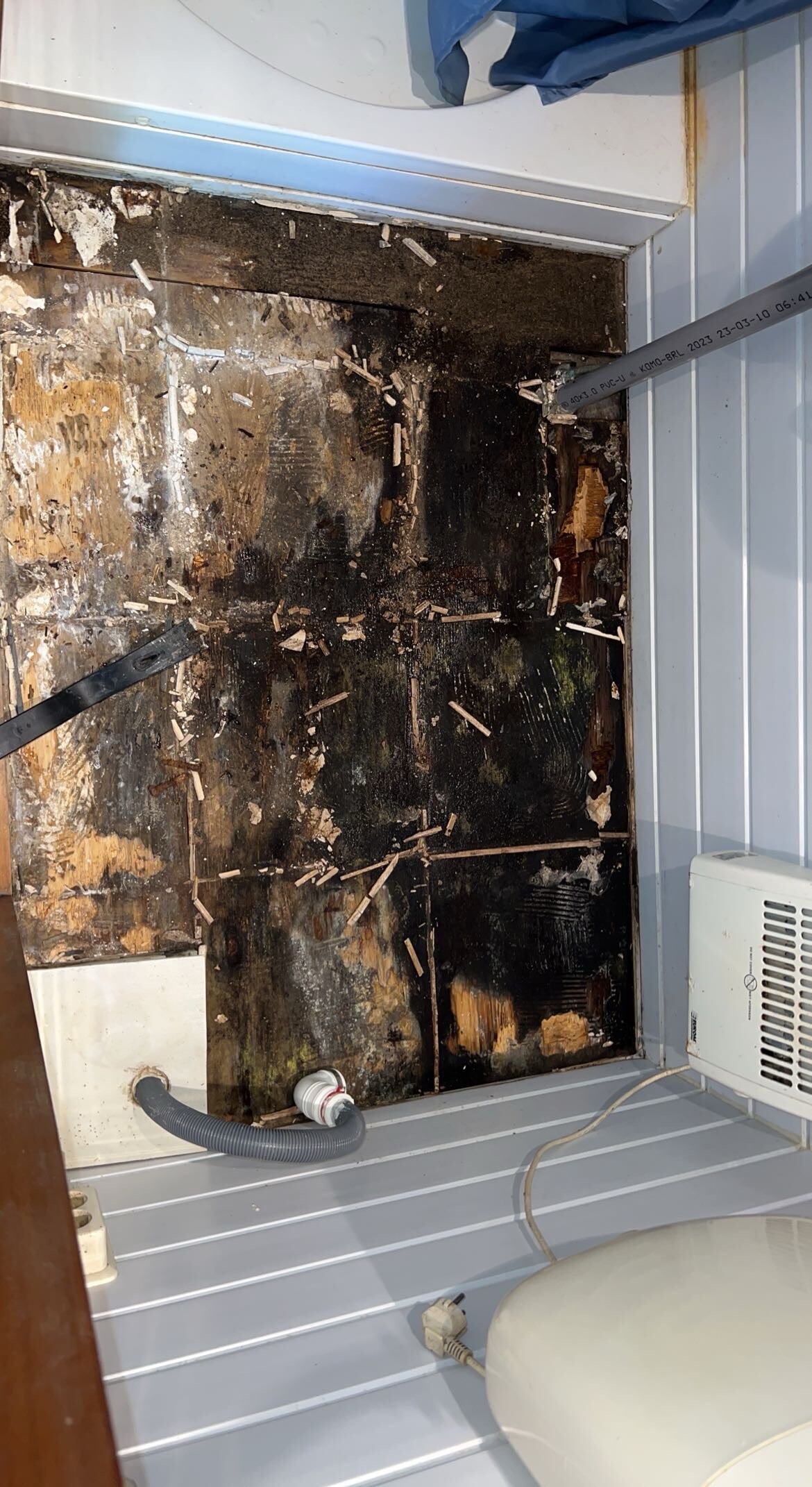 IMG_5690.jpeg IMG_5690.jpeg