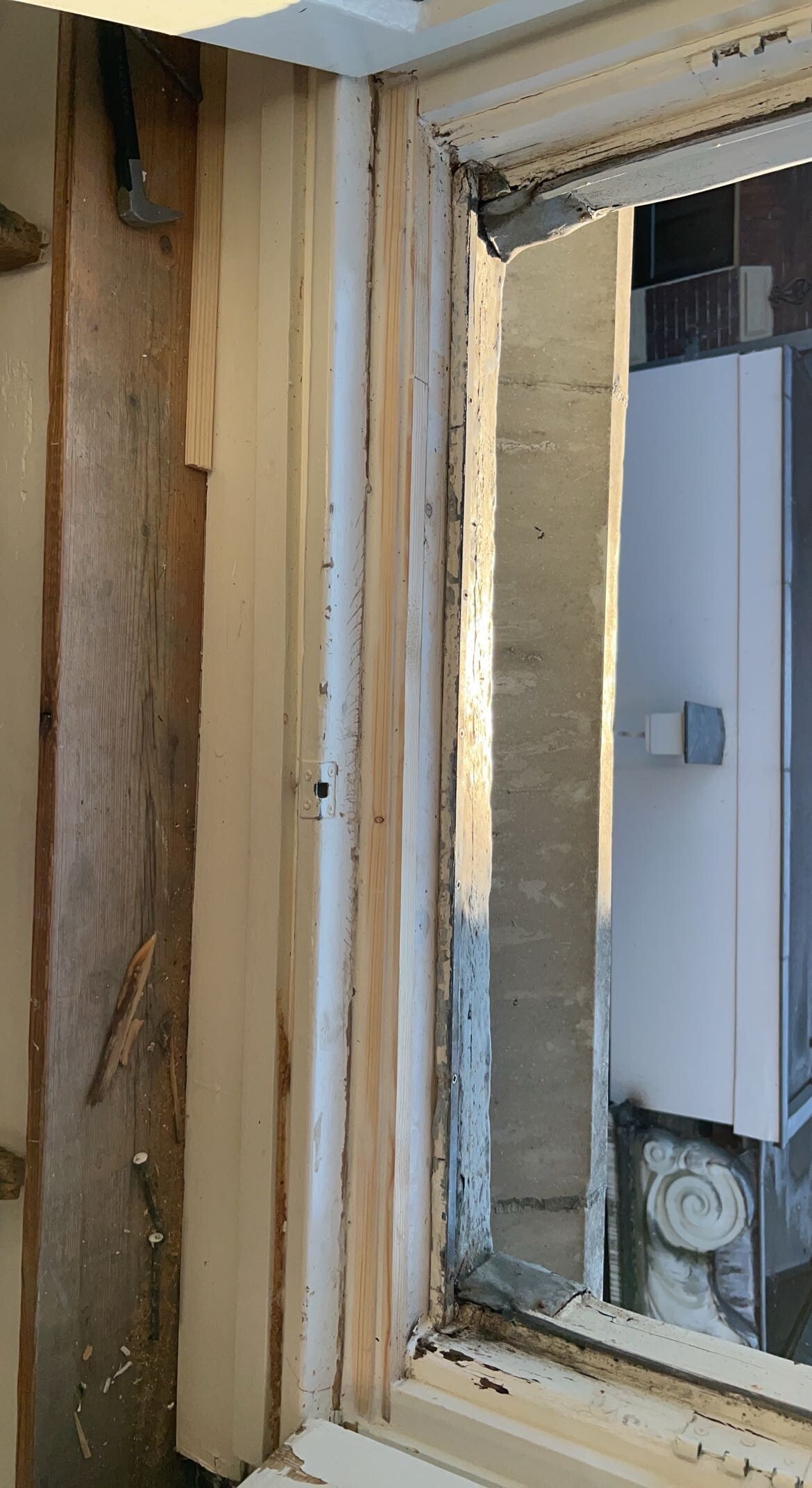 IMG_5692.jpeg IMG_5692.jpeg