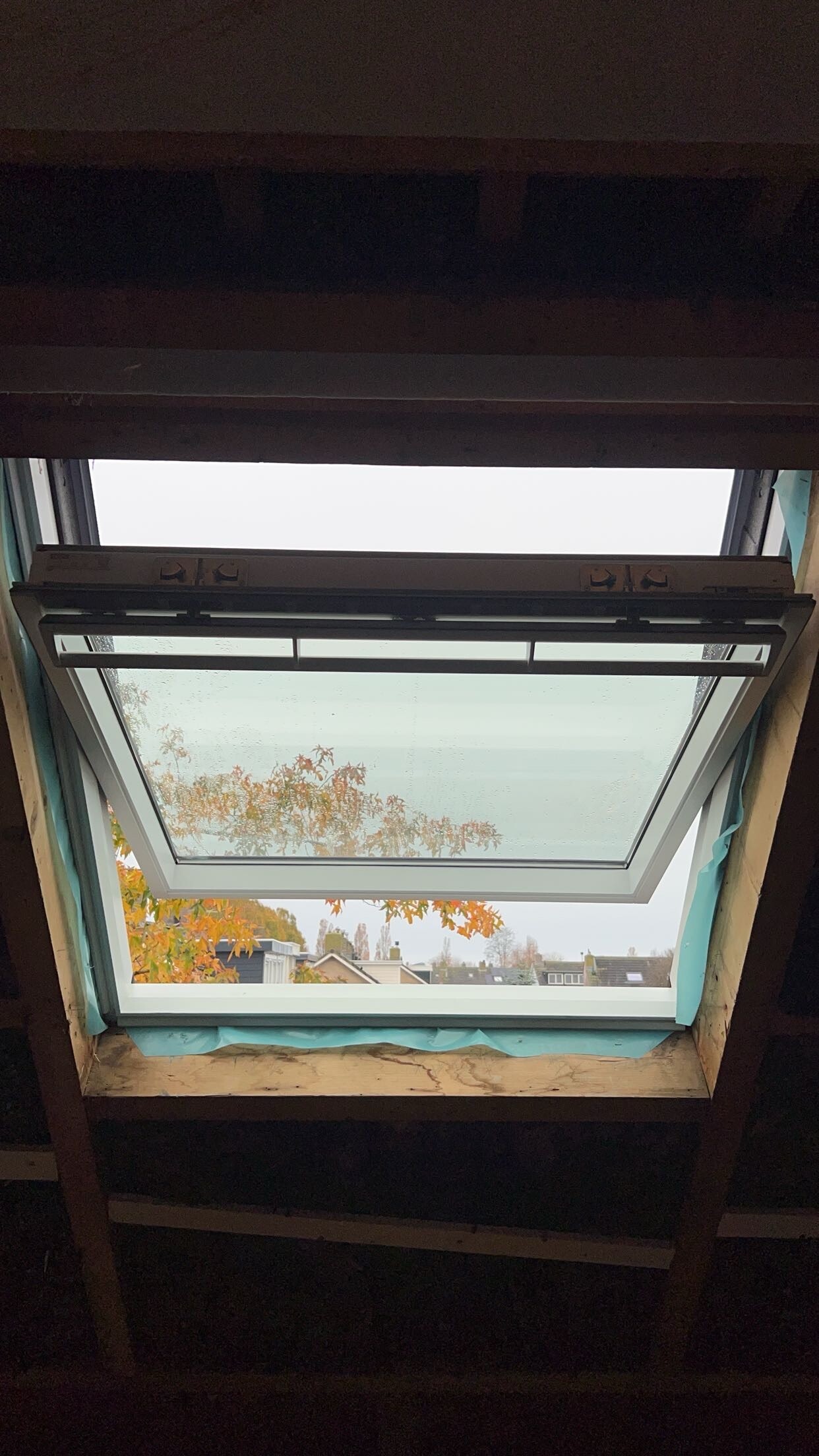 IMG_5698.jpeg IMG_5698.jpeg