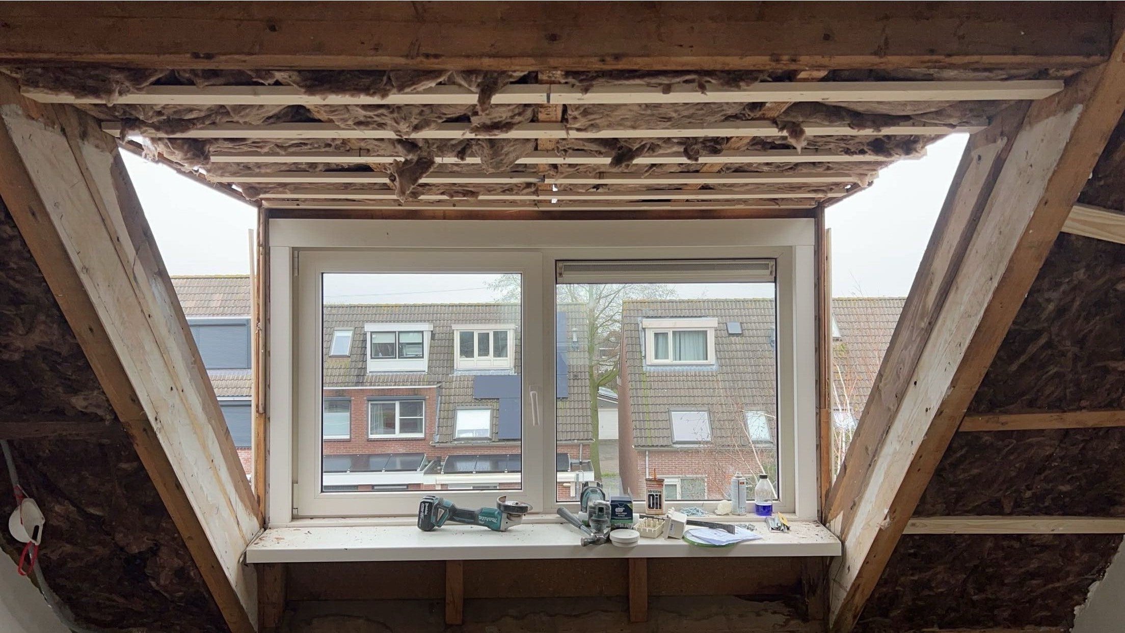 IMG_5701.jpeg IMG_5701.jpeg