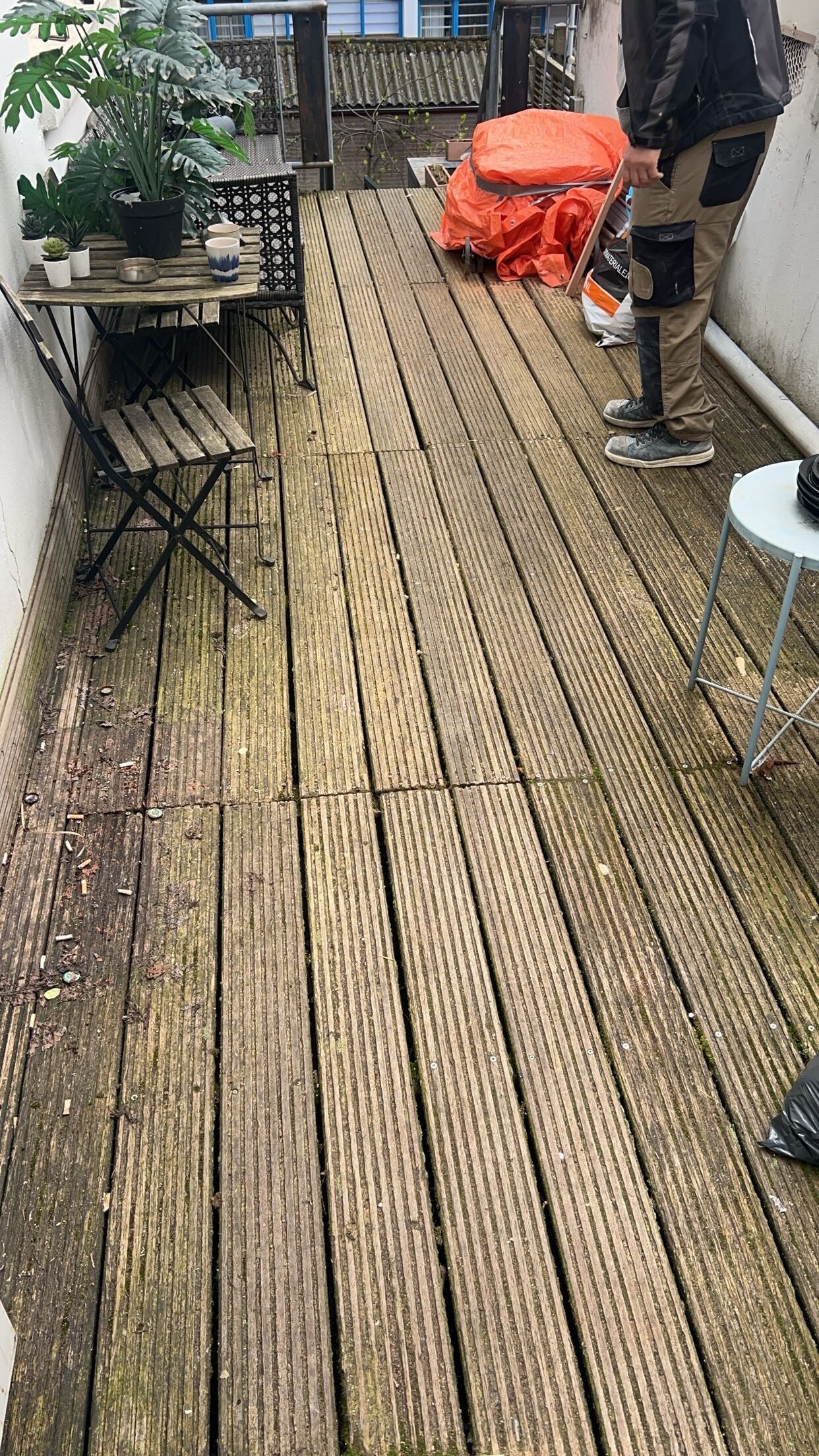 IMG_5704.jpeg IMG_5704.jpeg