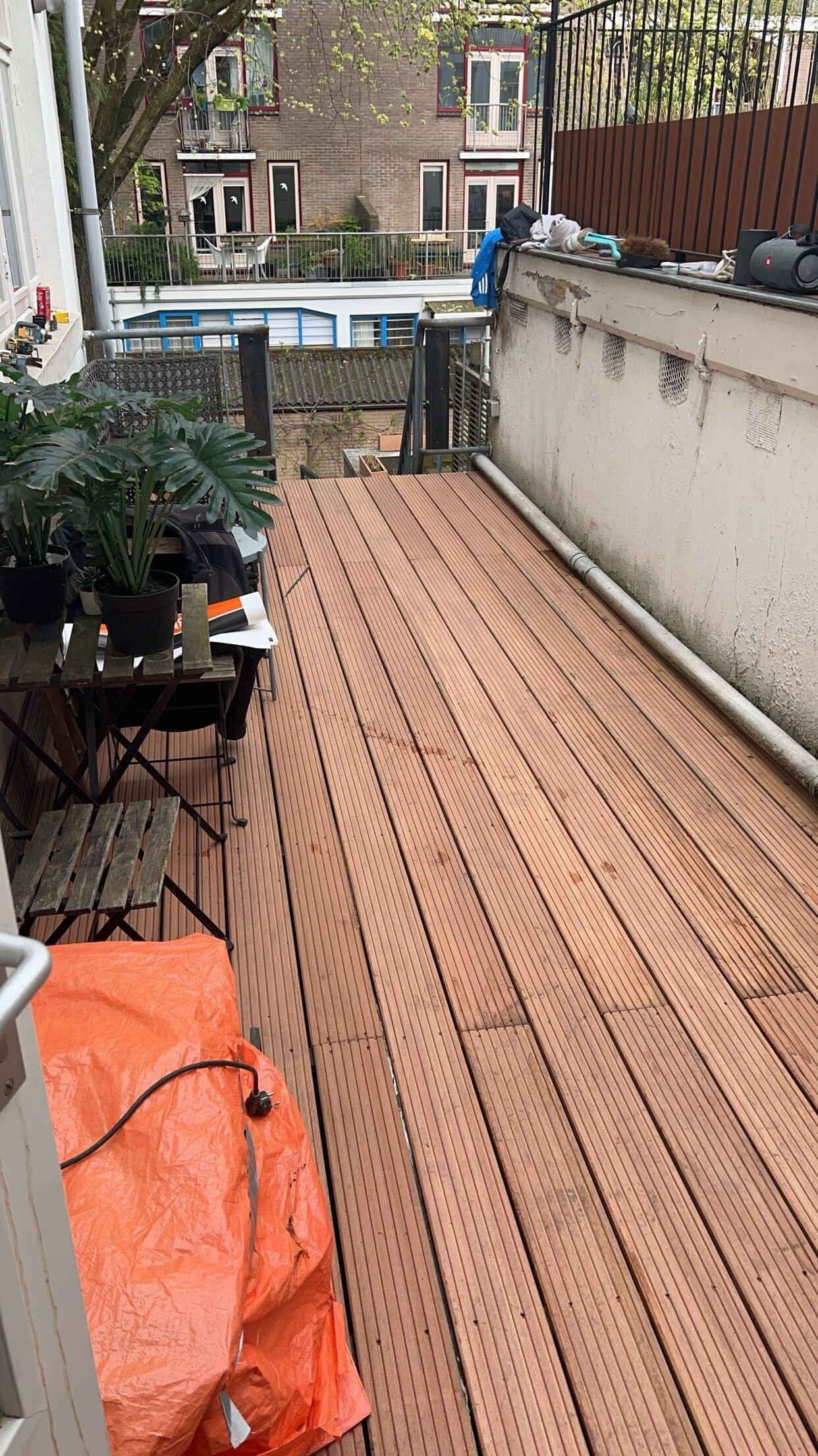 IMG_5706.jpeg IMG_5706.jpeg