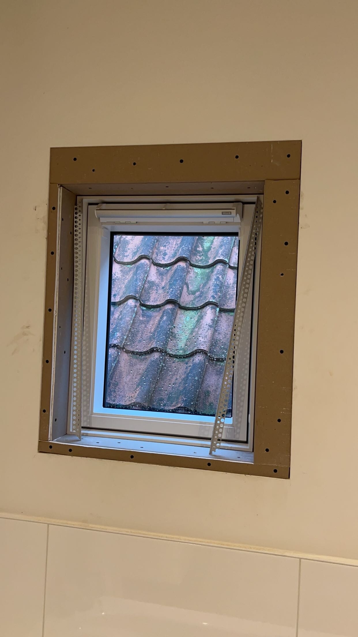 IMG_5707.jpeg IMG_5707.jpeg