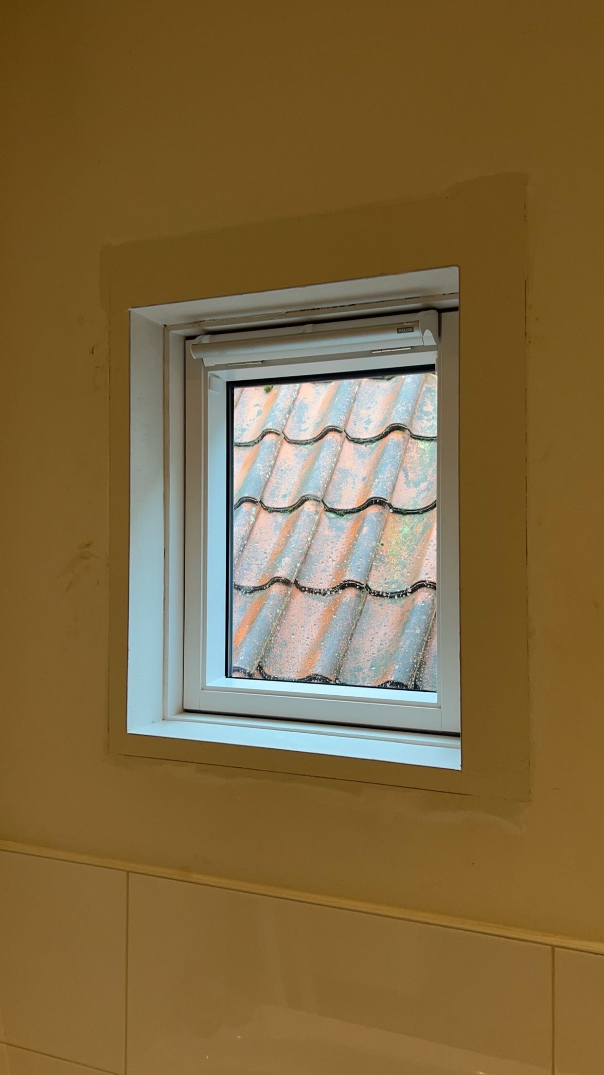 IMG_5708.jpeg IMG_5708.jpeg