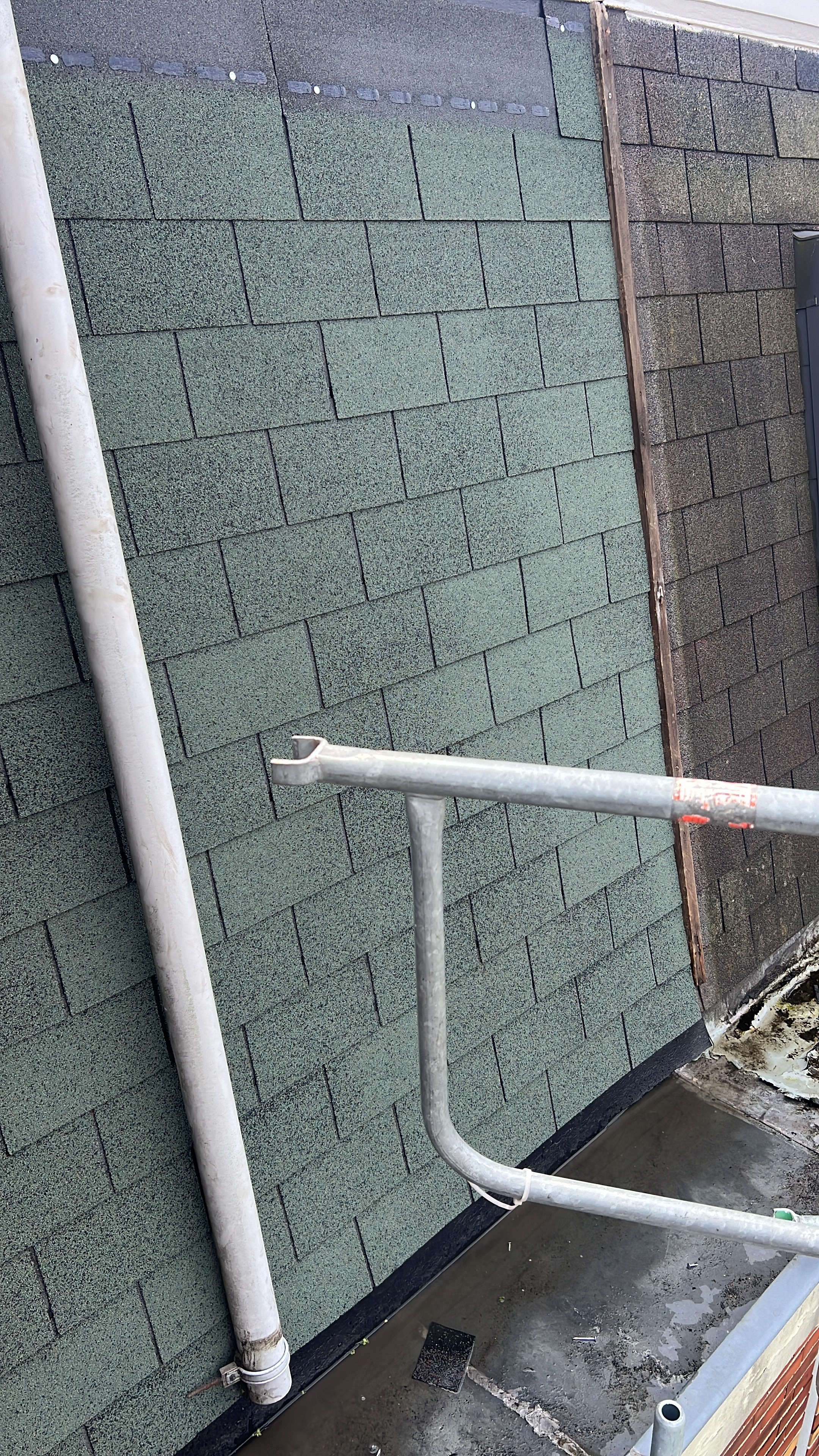 1A7E4E4B_B42E_47D3_9A3C_35AA3F0F187A.jpeg 1A7E4E4B_B42E_47D3_9A3C_35AA3F0F187A.jpeg